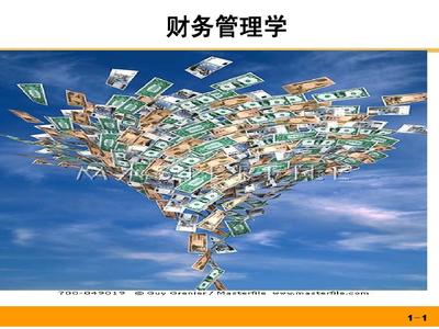 財(cái)務(wù)管理導(dǎo)論 從概念到實(shí)踐的核心框架